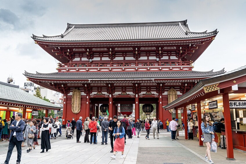 Full Tokyo Experience: Iconic Shrines, Palaces, and Electric Akihabara