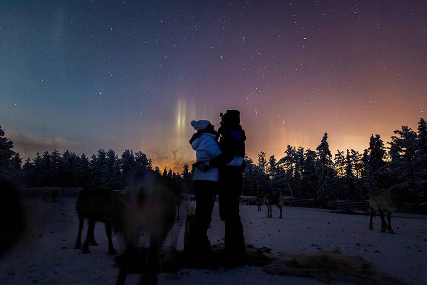 Picture 2 for Activity Kuusamo: Reindeer Farm Visit