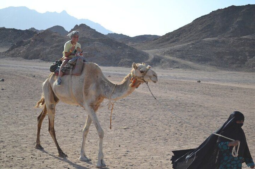 Marsa Alam Jeep Safari Sunset Camel Ride and Show