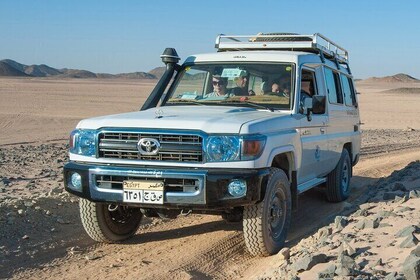 Super Safari By Jeep, Sunset, Camel, Show & Dinner - Marsa Alam