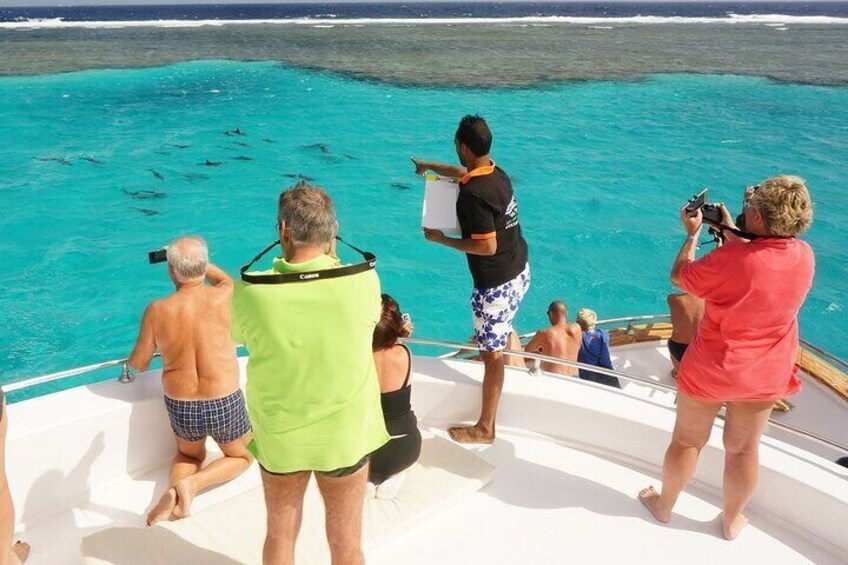 Full Day Snorkeling Sea Guided Trip to Hamata and Qulaan Islands 