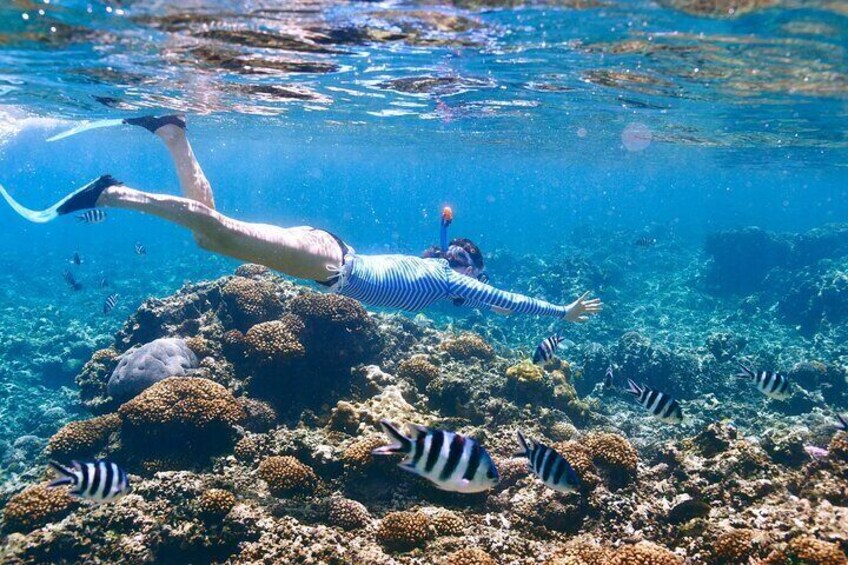 Full Day Snorkeling Trip to Hamata & Qulaan Islands - Marsa Alam