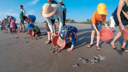 Ixtapa-Zihuatanejo: Turtle Release Tour.