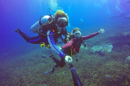 Ultimate Scuba Diving Experience, Two Dives & Lunch – Marsa Alam