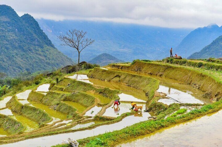 Pu Luong Insight Half Day of Nature and Culture Discovery