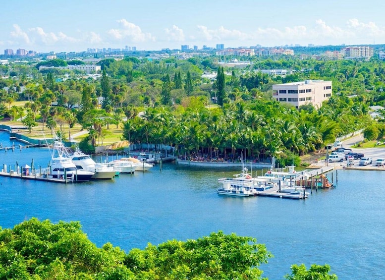 Picture 10 for Activity Jupiter, Florida: Intracoastal Waterway Cruise