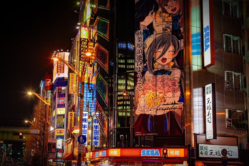 Tokyo Night Tour: From Ueno to Kabukicho with Karaoke Experience