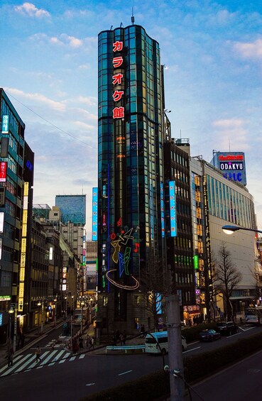 Tokyo Night Tour: Akihabara, Shibuya, Karaoke & City Lights