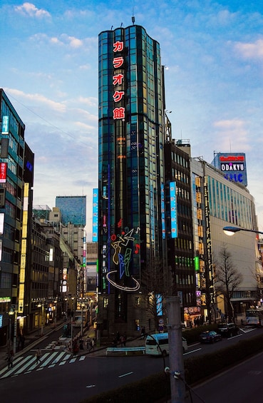 Tokyo Night Tour: Akihabara, Shibuya, Karaoke & City Lights