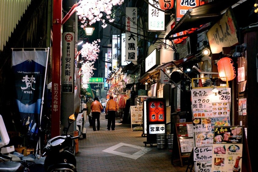 Tokyo Night Tour: From Ueno to Kabukicho with Karaoke Experience