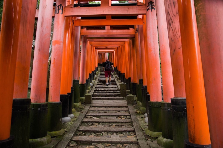 Kyoto Highlights: Arashiyama, Golden Pavilion, Fushimi Inari & More