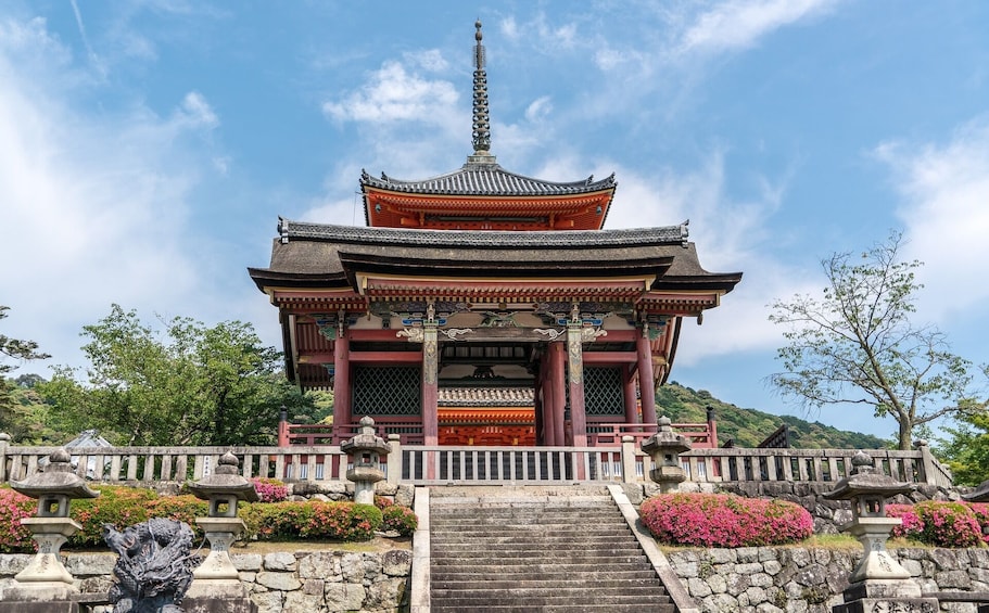 Kyoto Highlights: Arashiyama, Golden Pavilion, Fushimi Inari & More