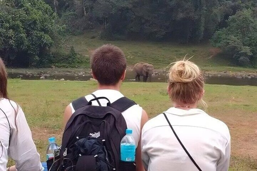 Wild Life Anakulam Jeep Safari