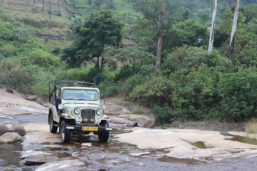 Wild Life Anakulam Jeep Safari