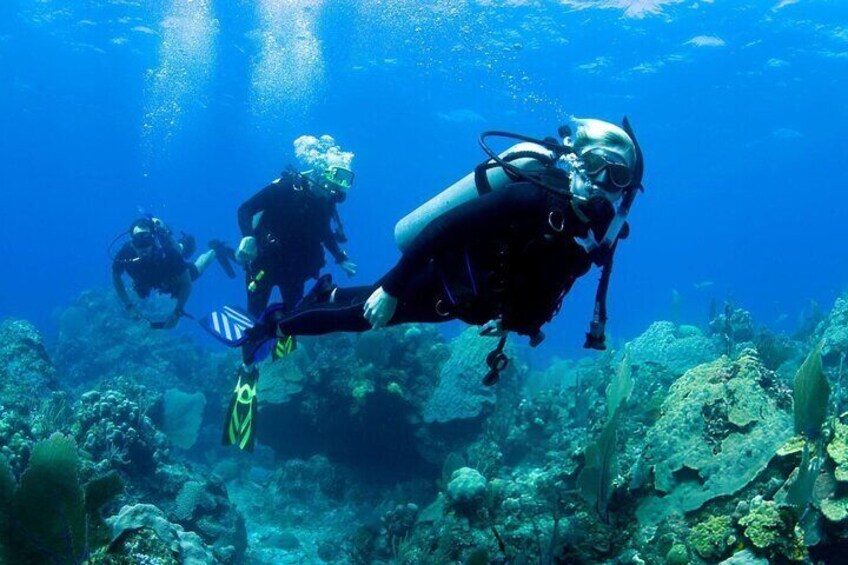 Beginner Scuba Diving Experience: Two Dives & Lunch – Marsa Alam