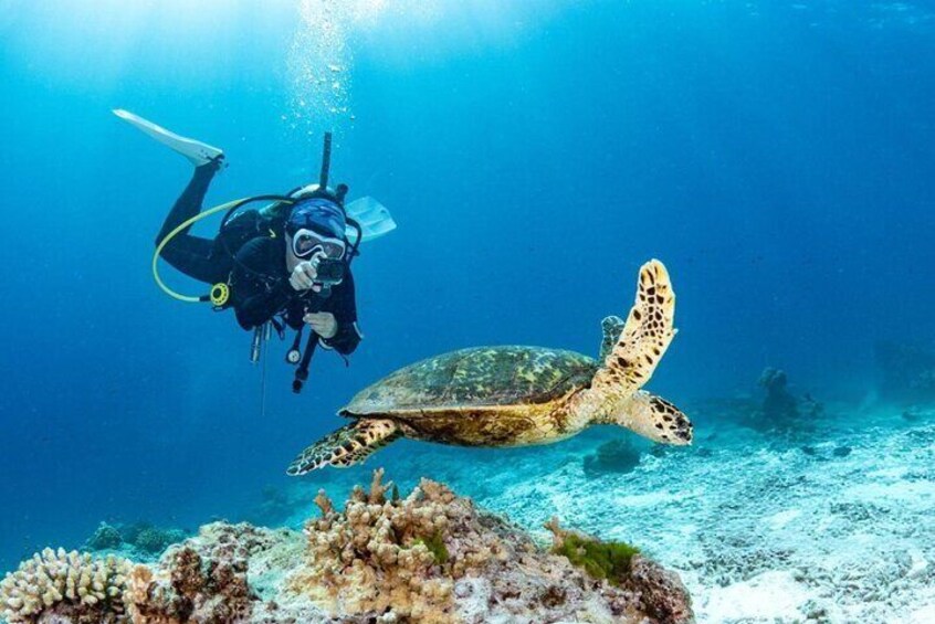 Beginner Scuba Diving Experience: Two Dives & Lunch – Marsa Alam