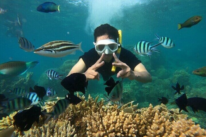 Beginner Scuba Diving Experience: Two Dives & Lunch – Marsa Alam