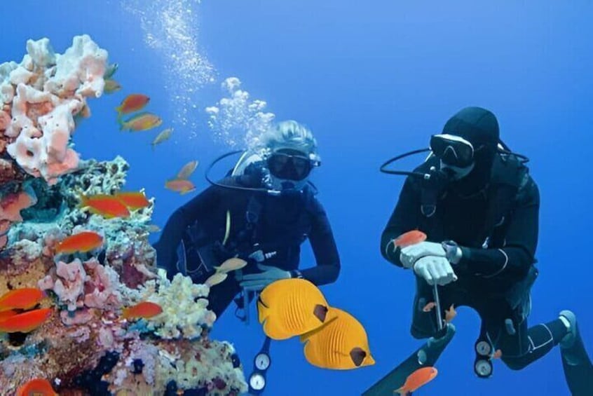 Beginner Scuba Diving Experience: Two Dives & Lunch – Marsa Alam