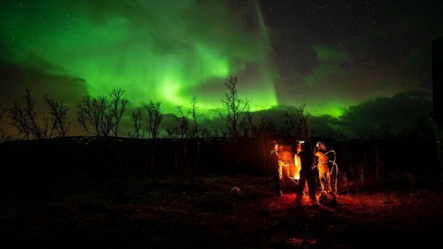 Minibus Northern Lights Tour in Tromso
