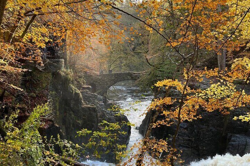 The Hermitage In Autumn