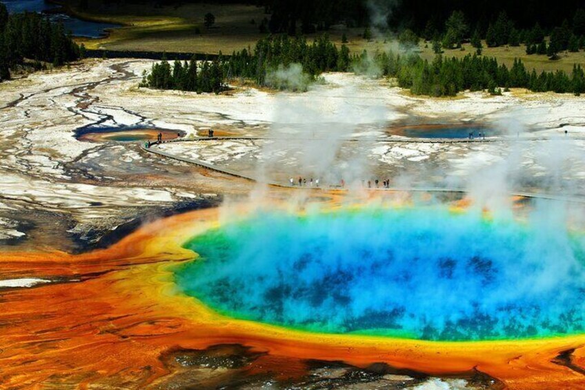 Private All Day Lower Loop Tour of Yellowstone National Park 