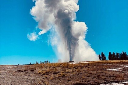 Private Lower Loop Tour of Yellowstone National Park