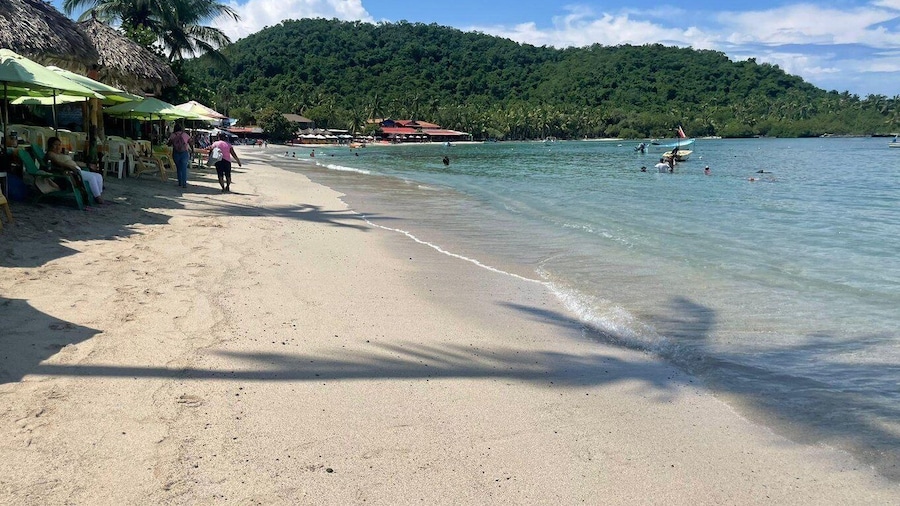 Ixtapa-Zihuatanejo: Island of Ixtapa Day Trip with Lunch