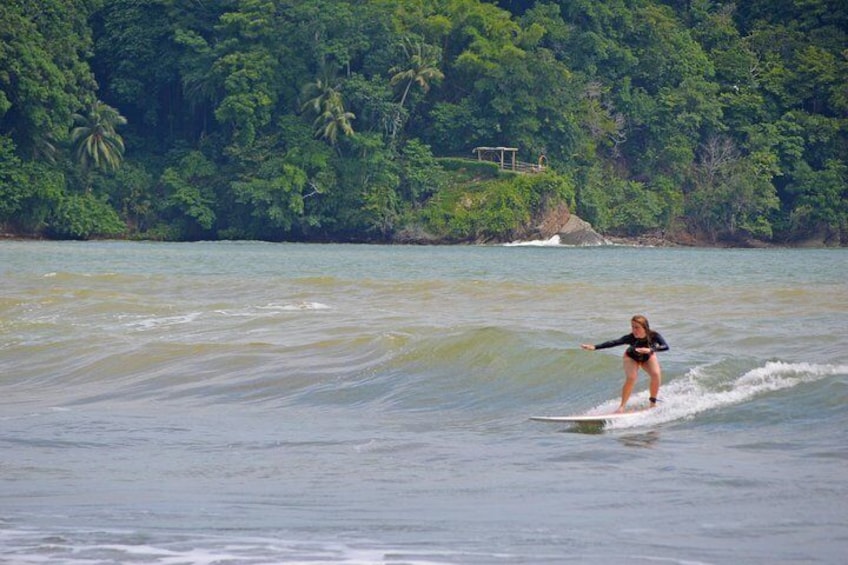 Beginner Surf Lesson