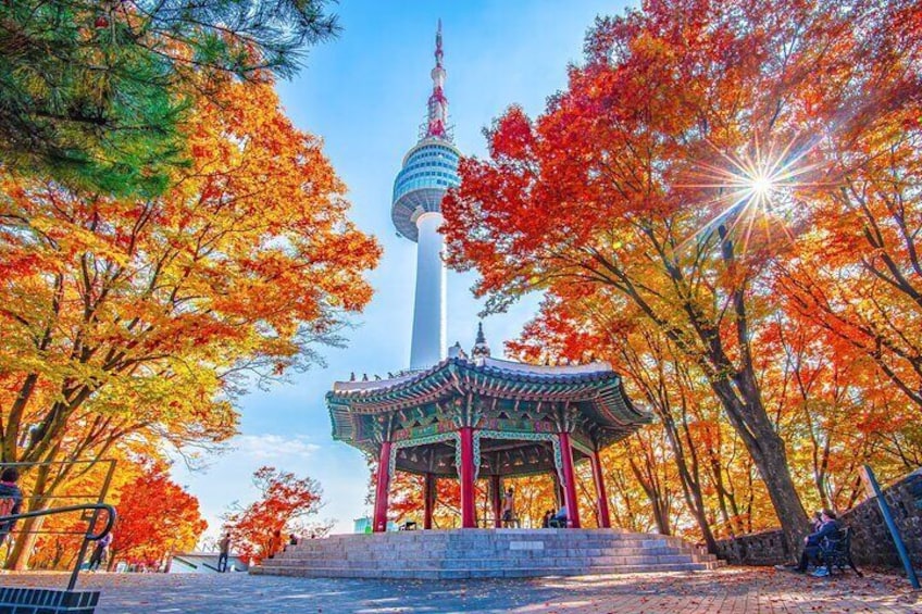 7 days Flexible Tour for Major Cities in Korea