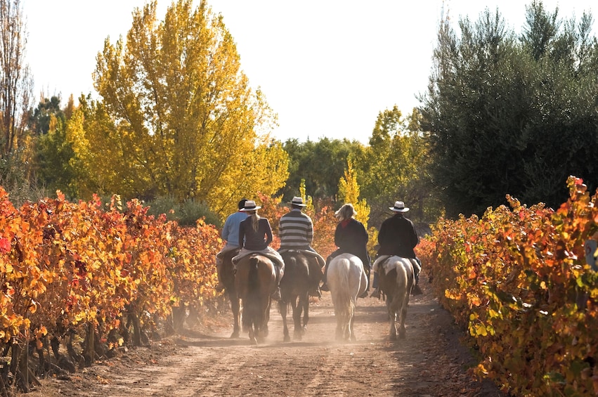 4-Day Exclusive Mendoza Harvest Experience & Gaucho Sunset Ride