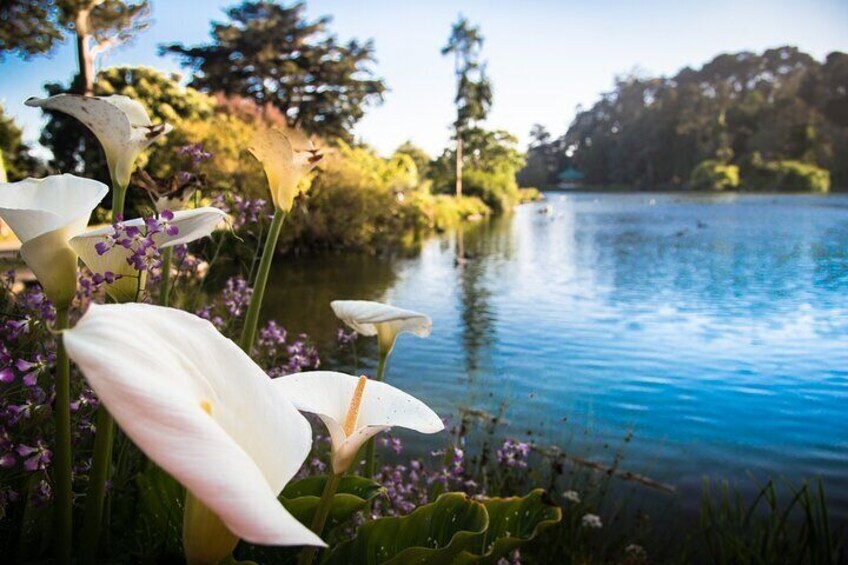 San Francisco California Academy of Sciences with Admission