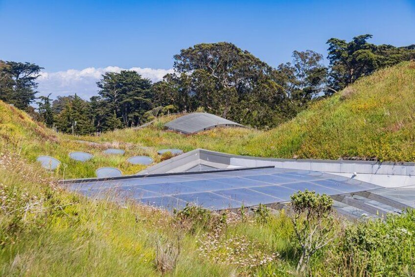 San Francisco California Academy of Sciences with Admission