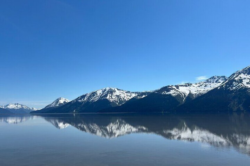 Four City Guided Tour of Alaska
