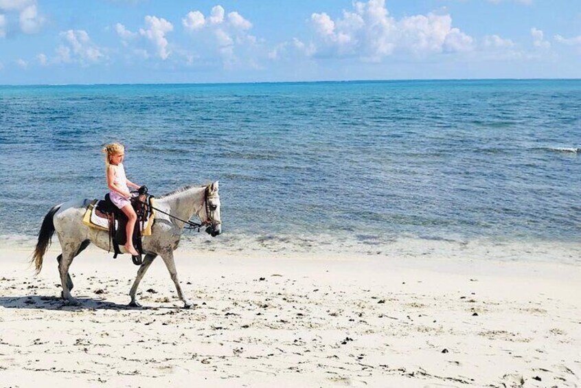  Saddle up for adventure! Join us for unforgettable kids' rides along the stunning beaches of Turks and Caicos! 