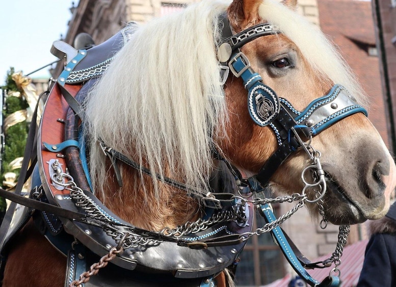 Picture 1 for Activity Nuremberg: Christmas Market and Old Town Stagecoach Ride