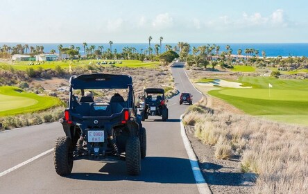 Round-Trip Coastal Buggy Tour in Tenerife