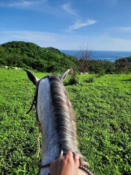 Picture 2 for Activity Ixtapa-Zihuatanejo: Horseback Riding Tour