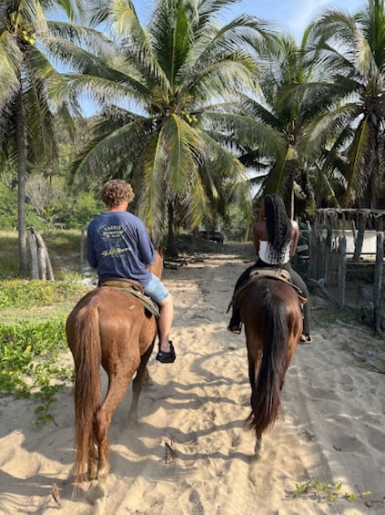 Picture 1 for Activity Ixtapa-Zihuatanejo: Horseback Riding Tour