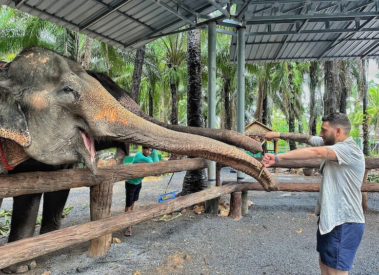 Picture 1 for Activity Krabi: Elephant Feeding Program