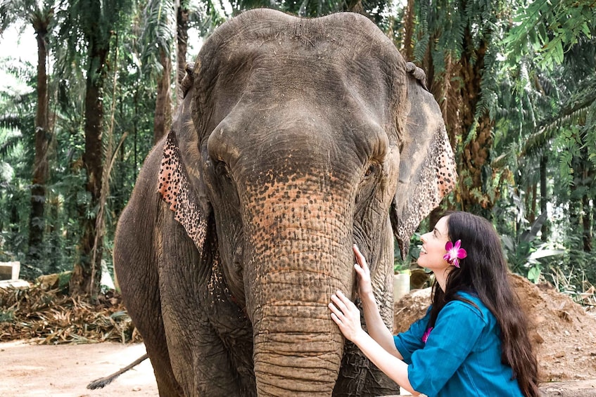 Picture 10 for Activity Krabi: Elephant Feeding Program