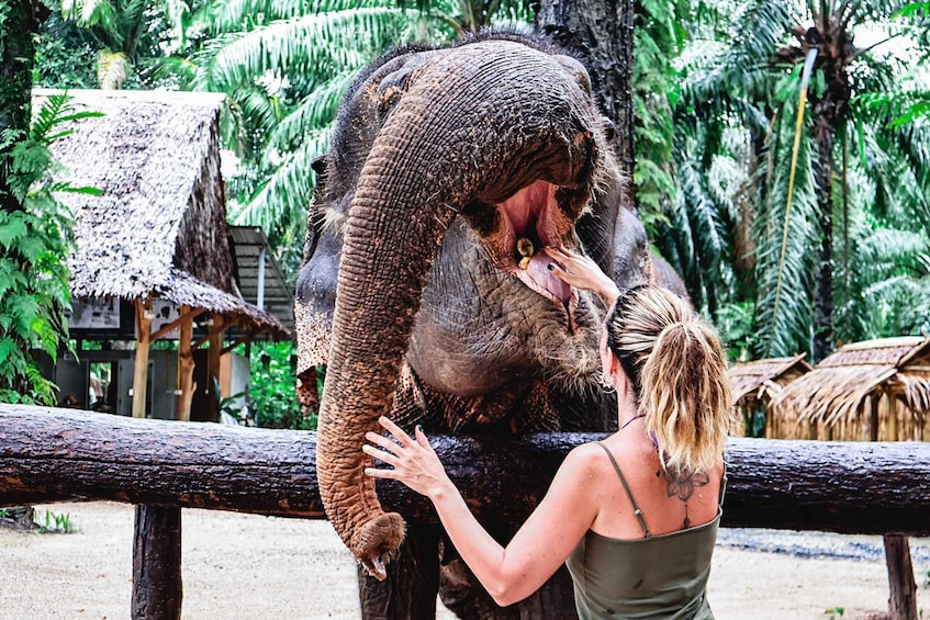 Picture 4 for Activity Krabi: Elephant Feeding Program