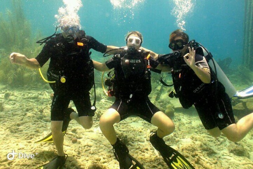 Discover Diving in Curaçao with Transportation Included