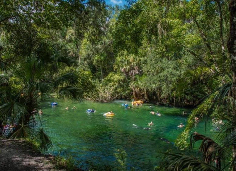 Picture 3 for Activity Orange City: Blue Spring State Park Guided Kayak Tour