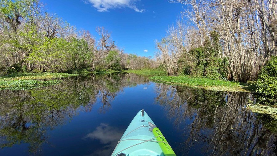 Orange City: Blue Spring State Park Guided Kayak Tour