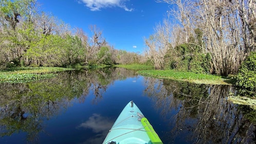 Orange City: Blue Spring State Park Guided Kayak Tour