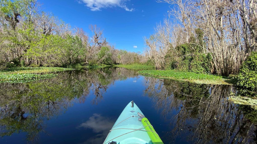 Orange City: Blue Spring State Park Guided Kayak Tour