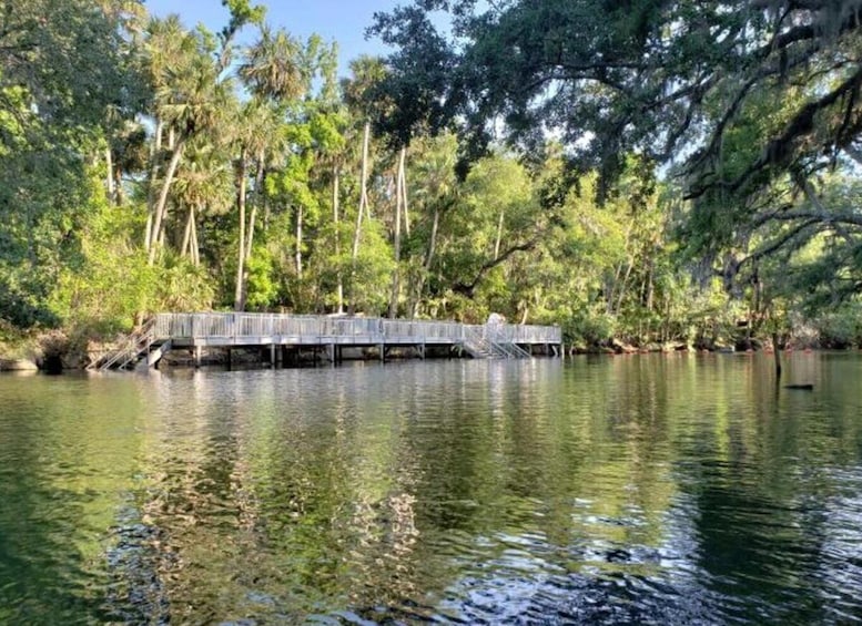 Picture 4 for Activity Orange City: Blue Spring State Park Guided Kayak Tour