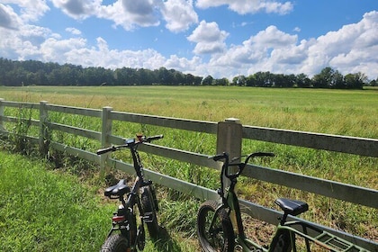 2 hour Guided E-Bike Tour: Greenery, Scenery and Mindfulness