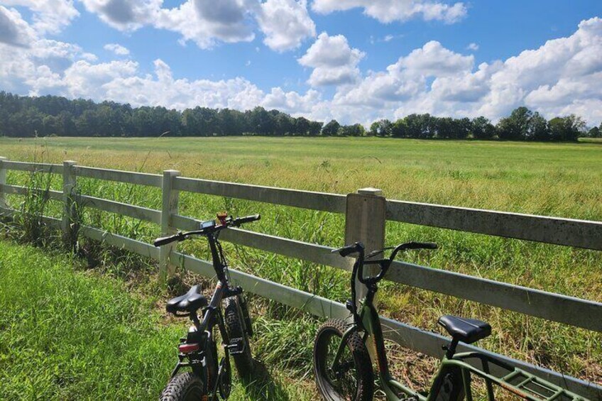 2 hour Guided E-Bike Tour: Greenery, Scenery and Mindfulness