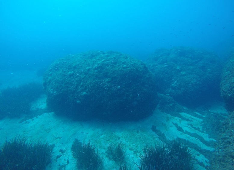 Picture 5 for Activity Catania: Scuba Try Scuba - battesimo del mare